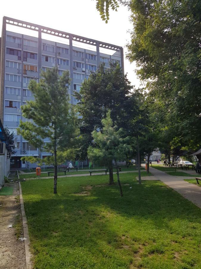 Studio Central Piatra Neamţ エクステリア 写真
